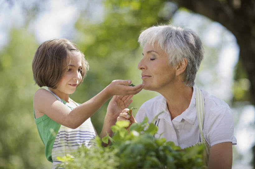 西方人,儿童,老年人,两个人,家庭,祖母,站,坐,捧,笑,微笑,露齿笑,横图,室外,白天,正面,纯洁,草地,草坪,植物,叶子,欧洲,欧洲人,阴影,服装,朦胧,模糊,光线,影子,绿叶,注视,休闲装,闻,草,树,树木,小孩,衣服,绿色,阳光,自然,观察,看,站着,休闲,温暖,温馨,一家人,休闲服,嫩叶,可爱,童年,童趣,服饰,生长,奶奶,成长,观看,祖孙,和睦,察看,嗅,关注,童真,烂漫,无邪,外婆,外孙女,外祖母,天真,老年女性,女孩,女人,女性,白种人,孩子,孙女,叶,叶片,端,端着,捧着,手捧,站立,坐着,半身,彩图,融洽,女生