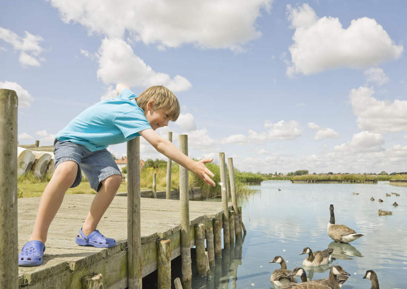 西方人,儿童,一个人,码头,站,横图,室外,白天,侧面,T恤衫,纯洁,湖,湖泊,水,港口,欧洲,欧洲人,仅一个男性,仅一个人,许多,弯腰,阴影,服装,光线,鸭子,木板,影子,湖面,水流,水面,云,云朵,桥,木桥,T恤,云彩,注视,休闲装,栈桥,小孩,衣服,蓝色,白云,倒影,蓝天,天空,阳光,湖水,天,观察,看,站着,仅一个小孩,休闲,休闲服,可爱,童年,童趣,伸直,服饰,晴朗,观看,人行桥,木板桥,察看,倒映,伸出,关注,童真,烂漫,无邪,游艇码头,弯身,反照,天真,男孩,男人,男性,白种人,孩子,晴空,站立,彩图,全身,摆渡口,埠头,渡口,渡头,港湾,海港,口岸,男生