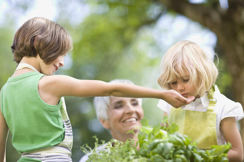 西方人,儿童,老年人,背部,三个人,家庭,祖母,站,蹲,笑,摸,微笑,露齿笑,横图,室外,白天,正面,纯洁,植物,欧洲,欧洲人,抚摸,阴影,服装,朦胧,模糊,光线,背心,影子,注视,休闲装,树,树木,小孩,衣服,绿色,阳光,自然,观察,看,站着,休闲,温暖,温馨,一家人,休闲服,可爱,童年,童趣,服饰,生长,奶奶,成长,观看,祖孙,和睦,察看,关注,童真,烂漫,无邪,外婆,外孙女,外祖母,天真,老年女性,女孩,女人,女性,白种人,孩子,孙女,触摸,蹲着,接触,站立,半身,彩图,融洽,女生