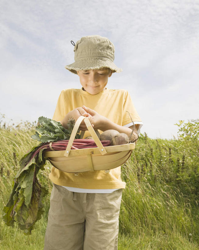 西方人,儿童,一个人,站,笑,交叉,微笑,竖图,室外,白天,正面,T恤衫,纯洁,草地,草坪,植物,竹子,蔬菜,帽子,欧洲,欧洲人,仅一个男性,仅一个人,一堆,许多,握,阴影,堆叠,堆积,竹制,服装,新鲜,编织,光线,篮子,影子,云,云朵,食品,拿,T恤,甜菜,云彩,拿着,注视,休闲装,草,树,树木,食物,小孩,衣服,黄色,绿色,白云,天空,阳光,自然,遮阳帽,竹篮,天,低头,观察,看,站着,仅一个小孩,休闲,休闲服,可爱,童年,童趣,握着,服饰,有机食品,绿色食品,生长,成长,观看,竹条,堆,交织,察看,竹制品,关注,童真,烂漫,无邪,菾菜,穿插,天真,男孩,男人,男性,白种人,孩子,站立,半身,彩图,男生