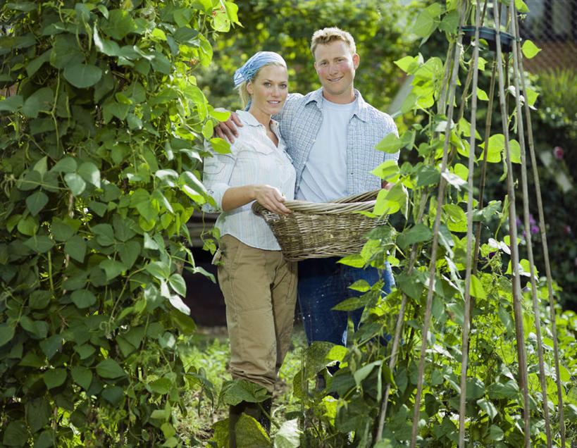 西方人,两个人,夫妻,站,抱,笑,交叉,微笑,露齿笑,横图,室外,白天,正面,爱情,植物,竹子,豆,蔬菜,叶子,欧洲,欧洲人,握,竹制,服装,新鲜,编织,篮子,头巾,豆类,豆子,食品,绿叶,浪漫,拿,拿着,注视,休闲装,食物,衣服,竹篮,观察,看,站着,休闲,休闲服,嫩叶,恩爱,握着,恋人,服饰,有机食品,绿色食品,抱着,观看,竹条,交织,察看,竹制品,搂着,关注,豆科,穿插,赤花蔓豆,红花菜豆,看花豆,男人,男性,年轻女性,女人,女性,中年男性,白种人,夫妇,情侣,叶,叶片,搂,搂抱,站立,半身,彩图,伴侣