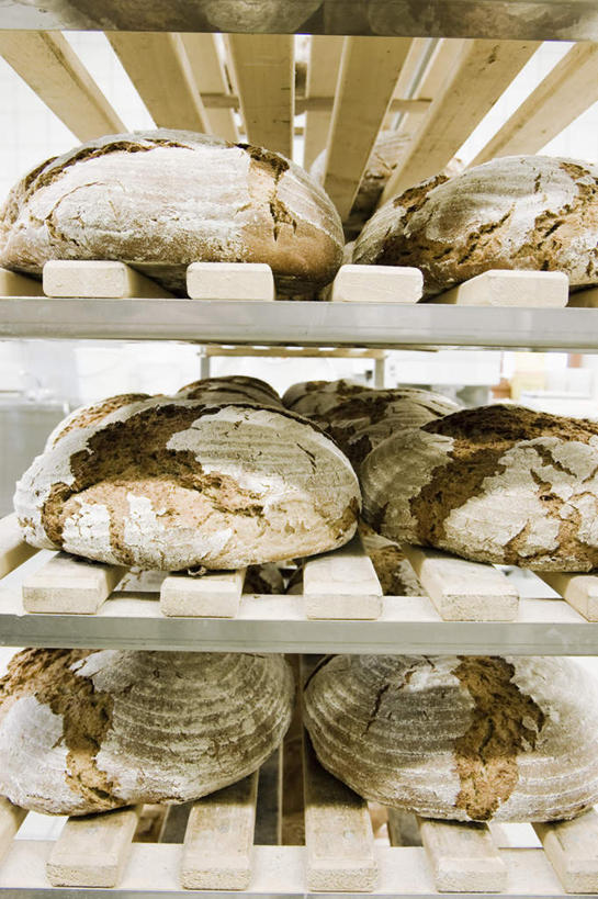 点心,面包,无人,商店,竖图,室内,特写,白天,正面,厨房,一排,阴影,整齐,反射,影子,食品,面点,置物架,商铺,架子,食物,糕点,排列,队列,陈列架,市肆,商号,搁架,面包店,彩图,灶间,店铺