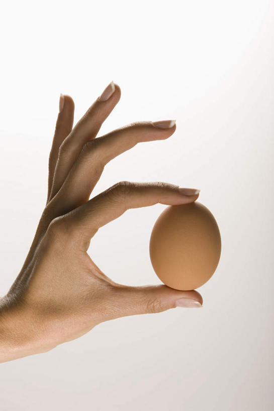 西方人,手,一个人,捏,竖图,室内,特写,白天,侧面,欧洲,欧洲人,仅一个年轻女性,仅一个女性,仅一个人,蛋,鸡蛋,捏着,一个,手部,摄影,影棚,单个,单手,卵,年轻女性,女人,女性,白种人,半身,彩图,影棚拍摄,拍摄