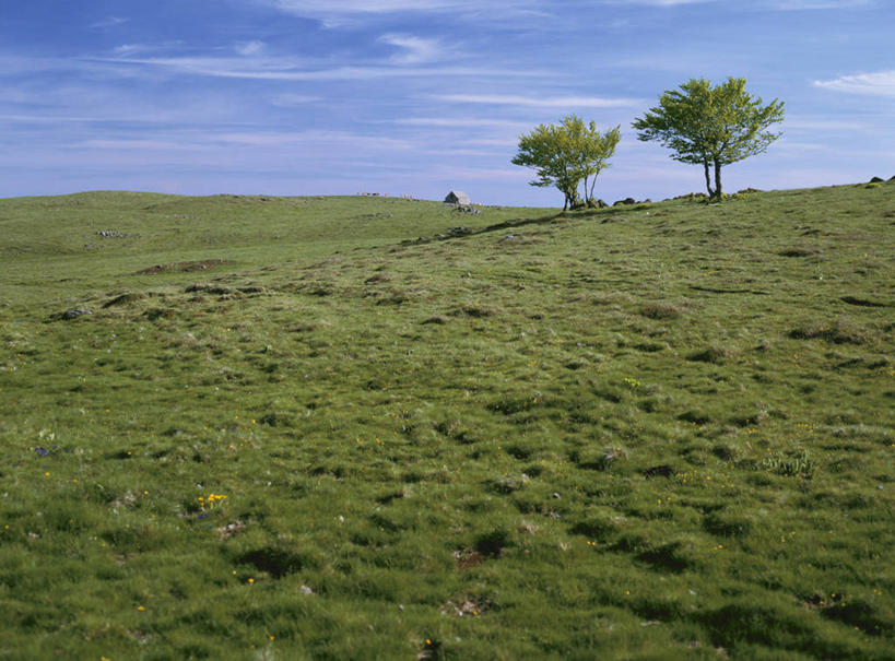 无人,家,横图,室外,白天,正面,旅游,度假,草地,草坪,美景,山,山脉,植物,法国,欧洲,阴影,光线,影子,房屋,屋子,景观,山峰,云,云朵,山峦,云彩,娱乐,楼房,住宅,草,树,树木,蓝色,绿色,白云,蓝天,天空,阳光,自然,群山,天,享受,休闲,景色,放松,生长,晴朗,成长,西欧,法兰西,自然风光,法兰西共和国,法兰西第五共和国,中央大区,康塔勒,康塔勒省,晴空,彩图,房子