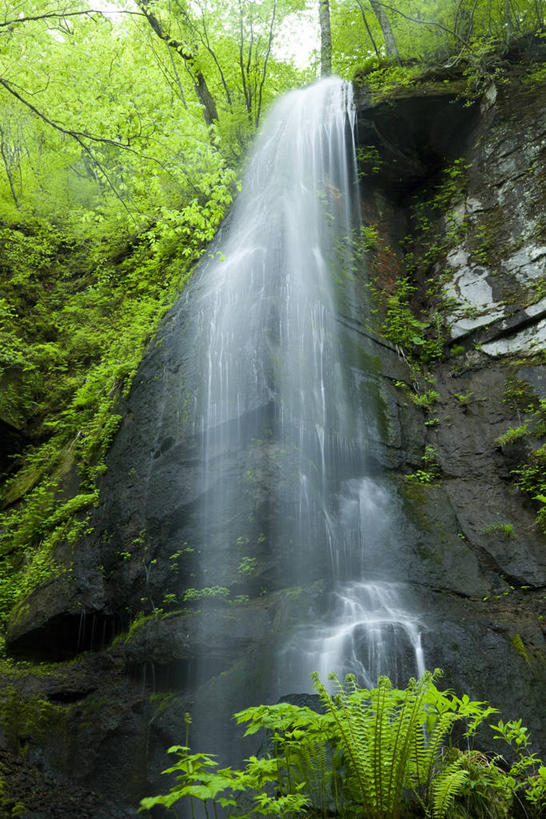 无人,竖图,室外,白天,仰视,旅游,度假,石头,美景,瀑布,森林,树林,水,植物,长野县,日本,亚洲,飞溅,溅,石子,液体,景观,水滴,悬崖,娱乐,水珠,树,树木,绿色,自然,享受,休闲,景色,放松,生长,成长,喷洒,自然风光,东亚,本州,本州岛,日本国,中部地方,长野,绝壁,轻井泽,轻井泽町,白丝瀑布,跌水,石块,岩石,彩图,低角度拍摄,北佐久郡