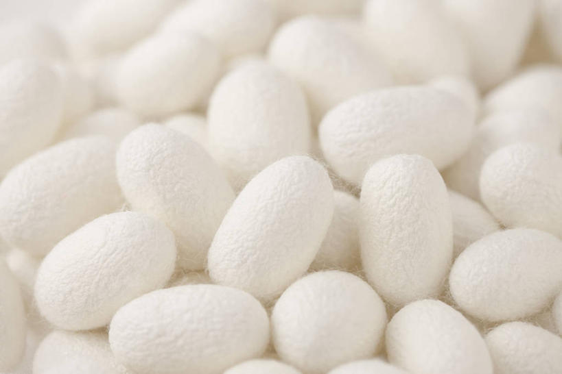 无人,横图,俯视,室内,特写,白天,一堆,许多,堆叠,堆积,很多,白色,摄影,影棚,堆,卫生,纯真,洁净,光明,恬静,中间色,朴素,清白,蚕茧,家蚕茧,桑蚕茧,彩图,高角度拍摄,全画面,全框架,全帧,影棚拍摄,拍摄,全画幅