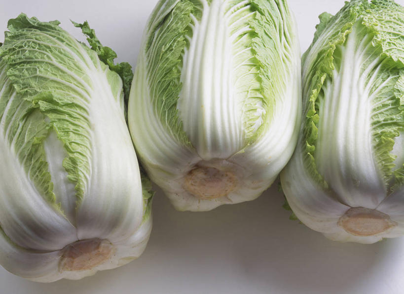 无人,横图,俯视,室内,特写,白天,白色背景,蔬菜,一排,阴影,新鲜,整齐,并列,并排,反射,影子,大白菜,食品,白菜,食物,排列,三个,摄影,有机食品,绿色食品,影棚,队列,平行,结球白菜,胶菜,彩图,高角度拍摄,影棚拍摄,拍摄,黄芽白