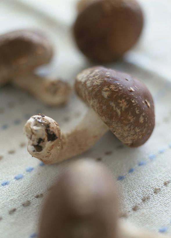 无人,竖图,俯视,室内,特写,白天,餐桌,桌子,蔬菜,阴影,朦胧,模糊,新鲜,反射,布料,影子,菌菇,香菇,食品,褐色,菌类,布纹,桌布,食物,餐巾,台布,四个,食用菌,有机食品,绿色食品,餐台,真菌,椎茸,餐桌布,彩图,高角度拍摄,平庄菇,香菌,香蕈