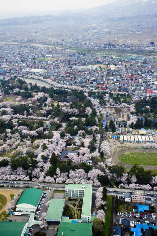 无人,公园,家,竖图,俯视,航拍,室外,白天,旅游,度假,幸福,纯洁,名胜古迹,植物,标志建筑,地标,建筑,樱花,日本,亚洲,阴影,遗迹,盛开,光线,影子,堡垒,城堡,房屋,屋子,公寓,花蕾,古迹,文物,娱乐,建设,古建筑,洋房,楼房,住宅,花,花瓣,花朵,鲜花,树,树木,绿色,阳光,自然,花苞,花蕊,享受,休闲,旅游胜地,放松,生长,成长,等待,生命,要塞,鸟瞰,古文明,东亚,本州,本州岛,日本国,青森,青森县,东北地方,仙樱花,福岛樱,青肤樱,高尚,热烈,弘前,弘前市,弘前城,鹰冈城,设防,荆桃,彩图,高角度拍摄,房子,青森弘前公园