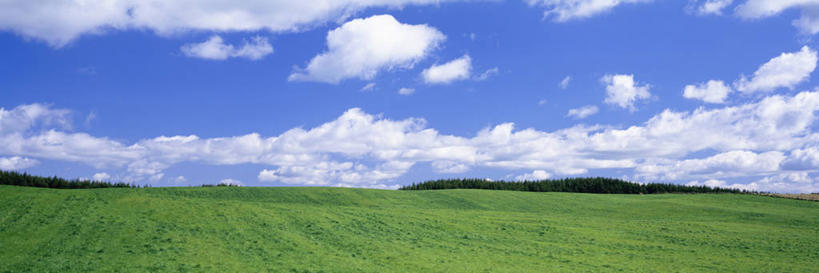 无人,横图,室外,白天,正面,旅游,度假,草地,草坪,美景,植物,北海道,日本,亚洲,阴影,光线,影子,景观,云,云朵,云彩,娱乐,草,树,树木,蓝色,绿色,白云,蓝天,天空,阳光,自然,天,享受,休闲,景色,放松,生长,晴朗,成长,自然风光,东亚,日本国,北海道地方,北海道岛,川上郡,钏路支厅,晴空,彩图,振兴局,标茶町,钏路综合振兴局,道东