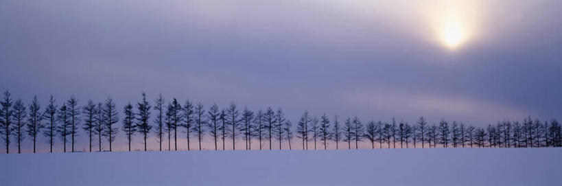 无人,横图,室外,白天,正面,旅游,度假,美景,日落,树林,雪,植物,大雪,北海道,日本,亚洲,一排,许多,整齐,积雪,景观,晚霞,霞光,雪景,冬季,冬天,落日,很多,娱乐,树,树木,排列,绿色,自然,黄昏,享受,休闲,景色,彩霞,放松,寒冷,生长,成长,队列,自然风光,东亚,日本国,北海道地方,北海道岛,严寒,夕照,薄暮,夕阳,彩图,傍晚,鄂霍次克综合振兴局,网走郡,斜阳,道东,网走支厅,女满别町
