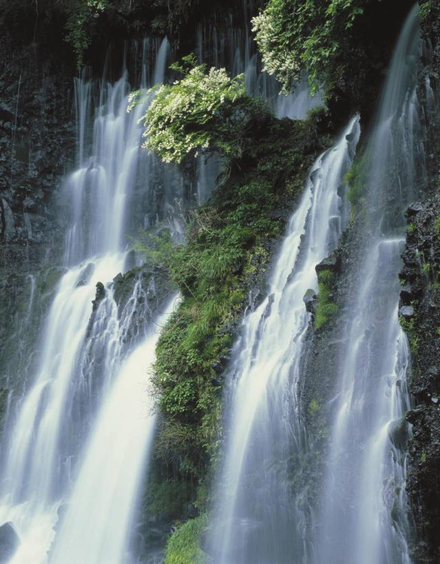 无人,竖图,室外,白天,正面,旅游,度假,石头,美景,瀑布,树林,水,植物,长野县,日本,亚洲,阴影,飞溅,溅,光线,石子,液体,影子,景观,水滴,青苔,苔藓,娱乐,水珠,树,树木,绿色,阳光,自然,享受,休闲,景色,放松,生长,成长,喷洒,自然风光,东亚,本州,本州岛,日本国,中部地方,长野,轻井泽,轻井泽町,白丝瀑布,跌水,石块,岩石,彩图,北佐久郡