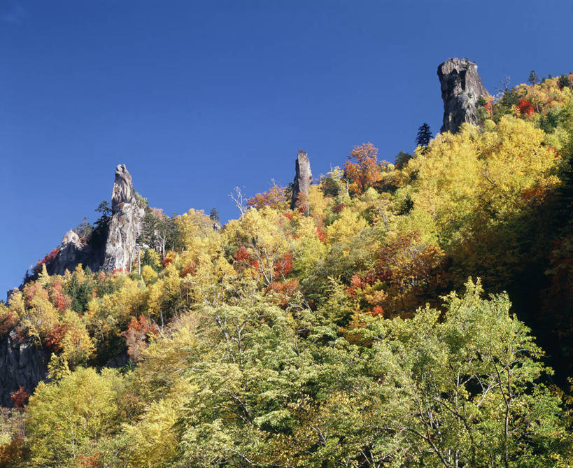 无人,公园,横图,室外,白天,仰视,旅游,度假,美景,山,山脉,树林,植物,北海道,日本,亚洲,阴影,光线,影子,景观,山峰,山峦,娱乐,树,树木,蓝色,绿色,蓝天,天空,阳光,自然,群山,天,享受,休闲,景色,放松,生长,晴朗,成长,自然风光,东亚,万里无云,日本国,北海道地方,北海道岛,国立公园,层云峡,晴空,晴空万里,彩图,低角度拍摄,大雪山国立公园