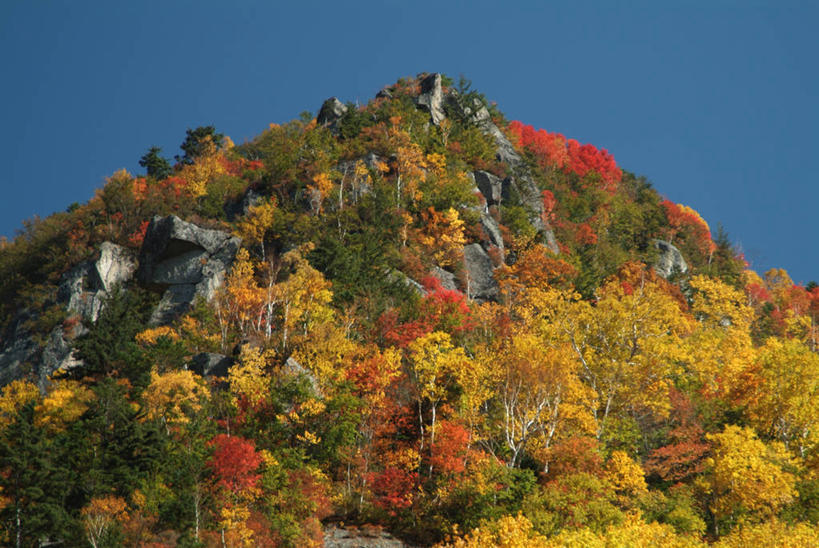 无人,公园,横图,室外,白天,仰视,美景,秋季,森林,山,山脉,树林,植物,北海道,日本,亚洲,阴影,光线,影子,景观,山峰,山峦,树,树木,蓝色,绿色,蓝天,天空,阳光,自然,群山,天,景色,生长,晴朗,成长,自然风光,东亚,万里无云,日本国,北海道地方,北海道岛,国立公园,层云峡,晴空,晴空万里,秋,秋天,彩图,低角度拍摄,大雪山国立公园