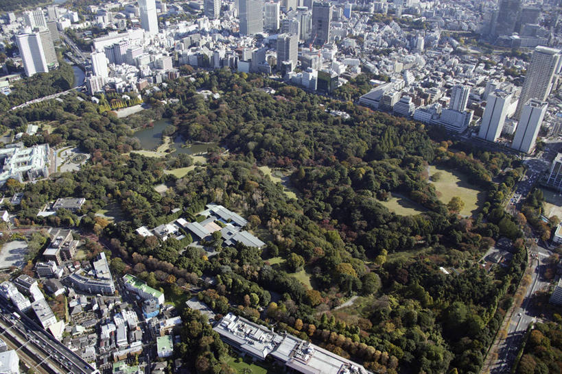 无人,家,高楼大厦,横图,俯视,航拍,室外,白天,度假,草地,草坪,美景,树林,植物,城市风光,城市,大厦,建筑,摩天大楼,东京,日本,亚洲,阴影,光线,影子,房屋,屋子,景观,公寓,青山,娱乐,洋房,楼房,住宅,草,树,树木,绿色,阳光,自然,享受,休闲,景色,放松,生长,成长,鸟瞰,东亚,本州,关东地方,本州岛,日本国,东京都,县厅,港区,东京市,彩图,高角度拍摄,房子,大楼,高层建筑,高楼,摩天楼