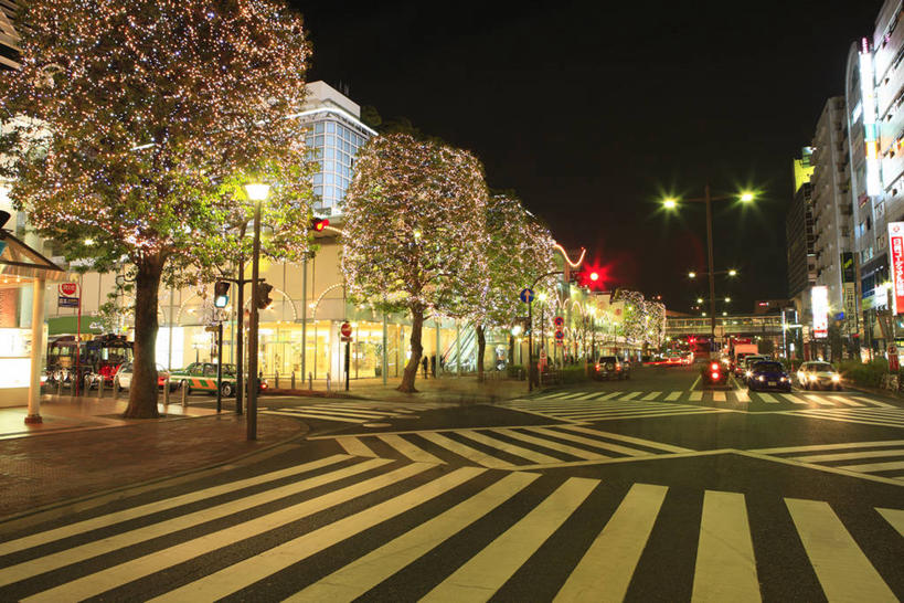 无人,商店,横图,室外,夜晚,正面,购物,度假,安全,消费,美景,植物,城市风光,超市,城市,道路,路,路灯,人行横道,商场,夜景,公路,摩托车,汽车,照明,东京,日本,亚洲,阴影,光线,影子,景观,红绿灯,人行道,灯光,信号灯,交通,娱乐,车,灯,树,树木,绿色,自然,交通工具,轿车,享受,休闲,景色,放松,警示,金融,百货,生长,成长,照亮,照明设备,提示,载具,人行横道线,流通,选购,贸易,百货公司,东亚,交通信号灯,本州,行人信号灯,关东地方,本州岛,日本国,东京都,血拼,斑马线,马路,彩图,购物商场,购物中心,商业中心,世田谷区,二子玉川