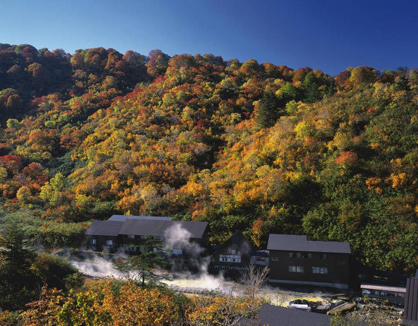 无人,横图,室外,白天,正面,旅游,度假,美景,秋季,森林,山,山脉,树林,温泉,植物,雾,秋田县,日本,亚洲,阴影,沸腾,光线,蒸汽,影子,景观,山峰,山峦,水蒸气,雾气,娱乐,树,树木,蓝色,绿色,蓝天,天空,阳光,自然,群山,天,享受,休闲,温暖,景色,放松,泉水,生长,温和,晴朗,成长,气体,自然风光,东亚,本州,万里无云,本州岛,日本国,秋田,东北地方,蒸发,地热,晴空,晴空万里,秋,秋天,彩图,鹿角郡