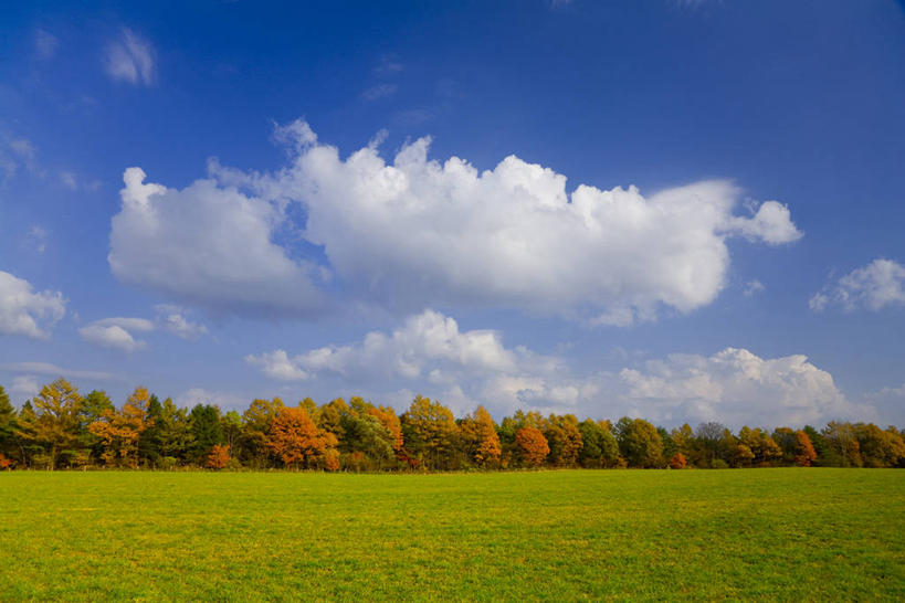 无人,横图,室外,白天,正面,旅游,度假,草地,草坪,美景,秋季,树林,植物,日本,亚洲,阴影,光线,影子,景观,云,云朵,云彩,娱乐,草,树,树木,蓝色,绿色,白云,蓝天,天空,阳光,自然,天,享受,休闲,景色,放松,生长,晴朗,成长,自然风光,东亚,本州,本州岛,日本国,岩手,岩手县,东北地方,雫石町,晴空,秋,秋天,彩图,岩手郡