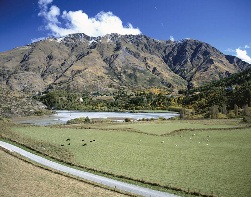 无人,站,横图,室外,白天,正面,旅游,度假,草地,草坪,石头,美景,山,山脉,植物,牛,羊,新西兰,一群,许多,阴影,花纹,光线,石子,影子,景观,山峰,云,云朵,乳牛,山峦,很多,云彩,娱乐,草,树,树木,蓝色,绿色,白云,蓝天,天空,阳光,自然,动物,群山,天,站着,享受,休闲,家畜,景色,放松,牲畜,生长,晴朗,成长,自然风光,斑纹,大洋洲,纽西兰,长白云之乡,新西兰南岛,奥塔哥大区,皇后镇,昆士敦,昆斯敦,石块,岩石,晴空,奶牛,绵羊,站立,彩图,全身