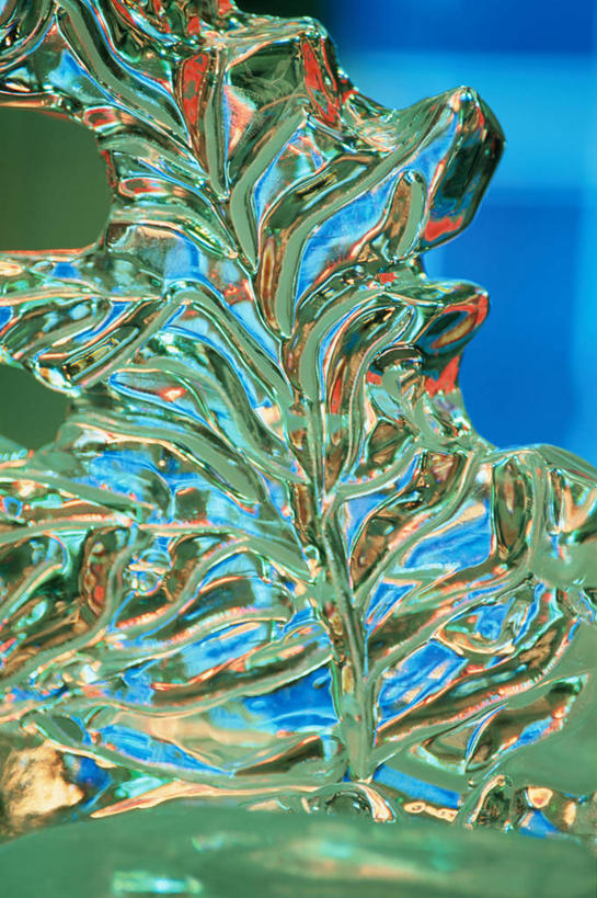 无人,竖图,室内,特写,白天,正面,蔬菜,阴影,新鲜,反射,影子,冰,食品,食物,浮冰,寒冷,有机食品,绿色食品,冰冷,油菜,严寒,冰凉,酷寒,凛冽,凛凛,极冷,流冰,浮冰块,油白菜,彩图,芸薹