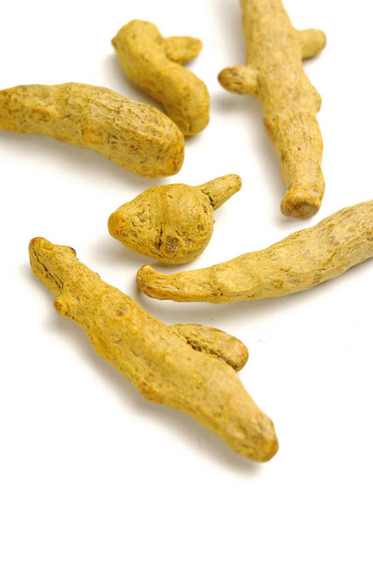 无人,竖图,俯视,室内,特写,白天,白色背景,植物,许多,阴影,反射,影子,草药,药草,很多,中药,黄色,姜黄,摄影,影棚,药材,中草药,中药材,本草,彩图,高角度拍摄,影棚拍摄,拍摄