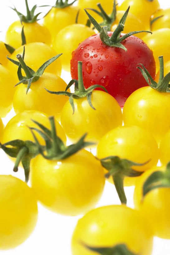 无人,竖图,俯视,室内,特写,白天,白色背景,西红柿,小番茄,许多,阴影,反射,影子,很多,排列,黄色,红色,摄影,影棚,摆列,小西红柿,樱桃小番茄,珍珠小番茄,樱桃番茄,圣女果,番茄,彩图,高角度拍摄,影棚拍摄,拍摄,黄色小番茄,布列,分列