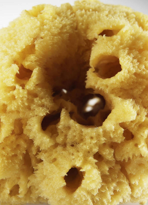 无人,竖图,俯视,室内,特写,白天,静物,阴影,反射,海绵,影子,干净,清洁,享受,健康,放松,卫生,彩图,高角度拍摄,浴用海绵