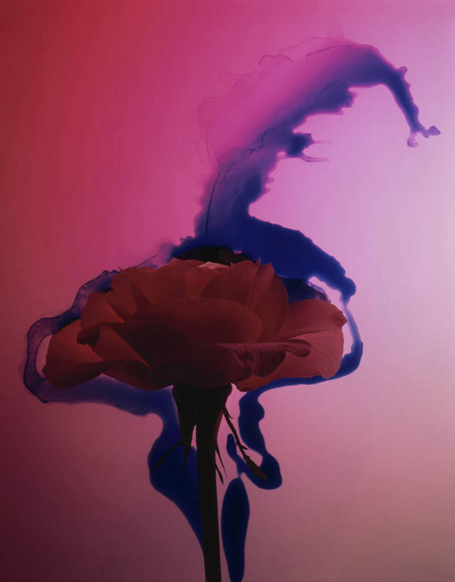 无人,竖图,插画,室内,白天,正面,数码,科技,阴影,网络,纹路,墨水,纹理,办公用品,高光,几何,计算机图形,合成,图画,画,文具,学习用品,墨,墨汁,文具用品,电脑合成图,数码合成图,合成图,文房四宝,漫画,肌理,写实,具体,具象,彩图