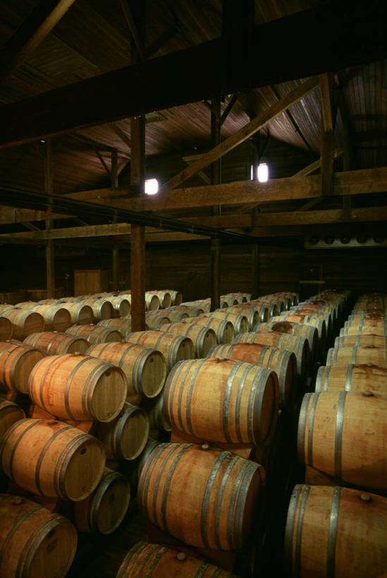 葡萄酒,无人,竖图,室内,白天,正面,照明,一排,许多,朦胧,模糊,整齐,木桶,桶,灯光,酒类,很多,酒窖,吊灯,灯,酒,饮料,排列,容器,灯具,储藏,堆,照亮,照明设备,储存,队列,彩图,酒库,贮存
