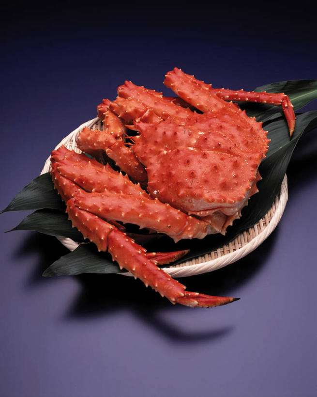 海鲜,蟹,无人,竖图,俯视,室内,特写,白天,叶子,阴影,蓝色背景,反射,螃蟹,扁担,影子,绿叶,帝王蟹,水产,海洋生物,一只,嫩叶,摄影,影棚,水生动物,海产品,水生物,海底动物,农具,皇帝蟹,甲壳动物,石蟹,竹木用具,叶,叶片,彩图,高角度拍摄,全身,影棚拍摄,拍摄,白石蟹,岩蟹