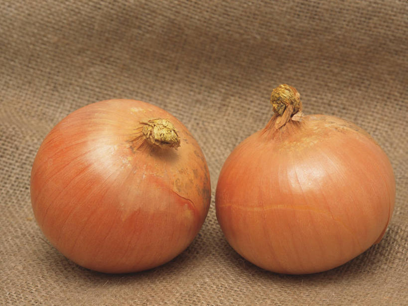 无人,横图,俯视,室内,特写,白天,蔬菜,洋葱,阴影,新鲜,反射,影子,食品,食物,两个,摄影,有机食品,绿色食品,影棚,褐色背景,玉葱,荷兰葱,圆葱,洋葱头,球葱,葱头,彩图,高角度拍摄,影棚拍摄,拍摄,黄洋葱