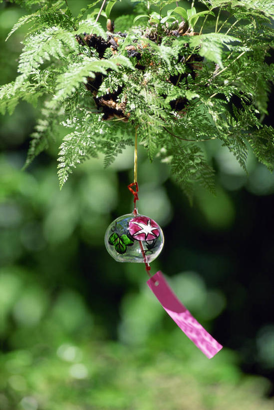 无人,竖图,室外,特写,白天,正面,幸福,运气,美景,树林,植物,风铃,阴影,朦胧,模糊,光线,影子,景观,树,树木,绿色,阳光,自然,祈祷,祈福,景色,警示,许愿,生长,成长,祈求,吉祥,平和,自然风光,问候,警惕,思念,想念,玉振,幸运,占风铎,彩图,日式风铃