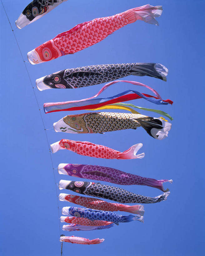 无人,竖图,室外,特写,白天,仰视,旗帜,端午节,一排,许多,吊挂,悬挂,阴影,节日,庆祝,整齐,光线,鲤鱼旗,影子,很多,挂,文化,旗子,排列,蓝色,蓝天,天空,阳光,天,祈福,庆典,晴朗,纪念,祈求,儿童节,队列,万里无云,旌旗,旗号,端阳节,五月节,午日节,鲤帜,晴空,晴空万里,彩图,低角度拍摄,男儿节