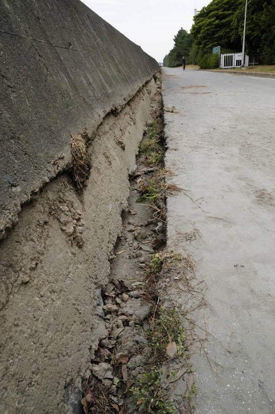 无人,竖图,室外,白天,正面,石头,美景,树林,植物,日本,亚洲,石子,景观,千叶县,树,树木,绿色,天空,自然,天,景色,生长,成长,自然风光,自然现象,东亚,地震,本州,关东地方,本州岛,日本国,千叶,地动,振动,地振动,地震波,石块,岩石,彩图