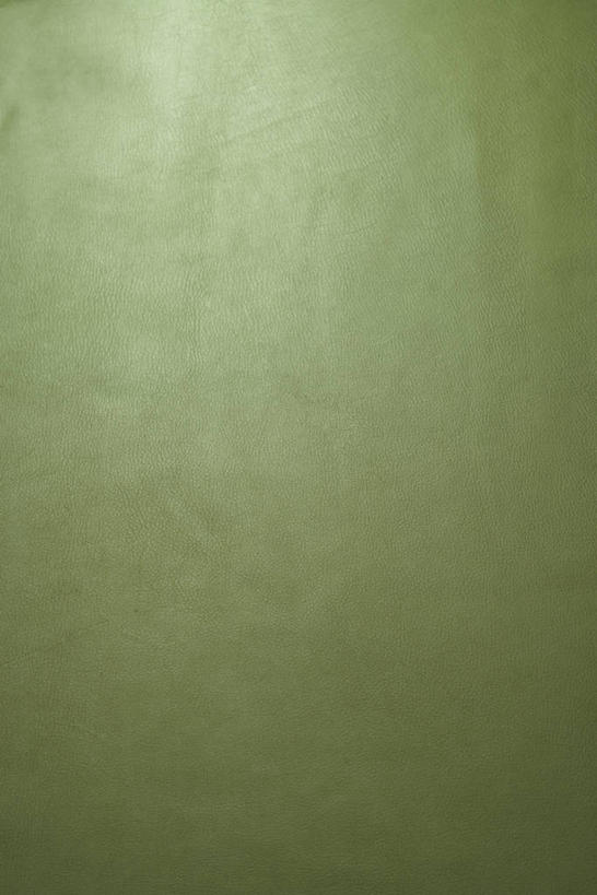 无人,竖图,室内,特写,白天,正面,静物,阴影,新鲜,反射,影子,皮革,绿色,青春,生命,和平,安详,冷色,彩图