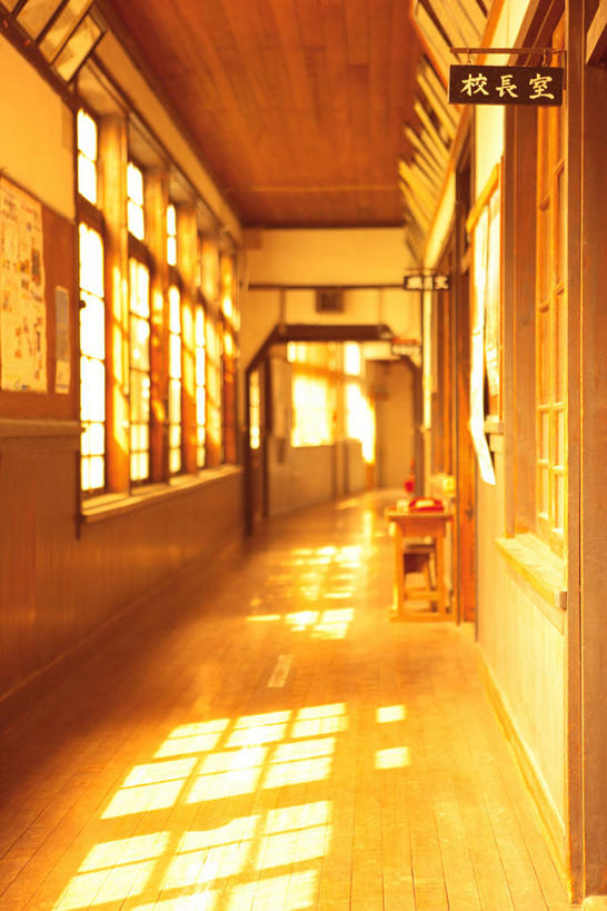 无人,学校,竖图,室内,白天,正面,窗户,阴影,朦胧,模糊,光线,影子,墙,走道,走廊,过道,校园,玻璃窗,墙壁,墙面,阳光,教室,课堂,彩图