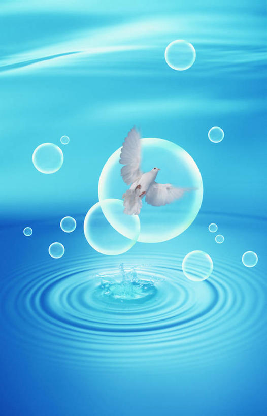 无人,竖图,室内,白天,正面,数码,科技,水,鸟,野生动物,飞翔,伸展,张开,展翅,阴影,蓝色背景,飞行,网络,斑鸠,翅膀,鸟类,液体,水滴,高光,几何,计算机图形,翱翔,合成,注视,飞,一只,蓝色,动物,泡泡,观察,看,可爱,活泼,观看,电脑合成图,数码合成图,察看,合成图,关注,张开翅膀,写实,具体,具象,欧斑鸠,展开翅膀,彩图,全身,鹁鸪,鹁鸠,水鸪鸪