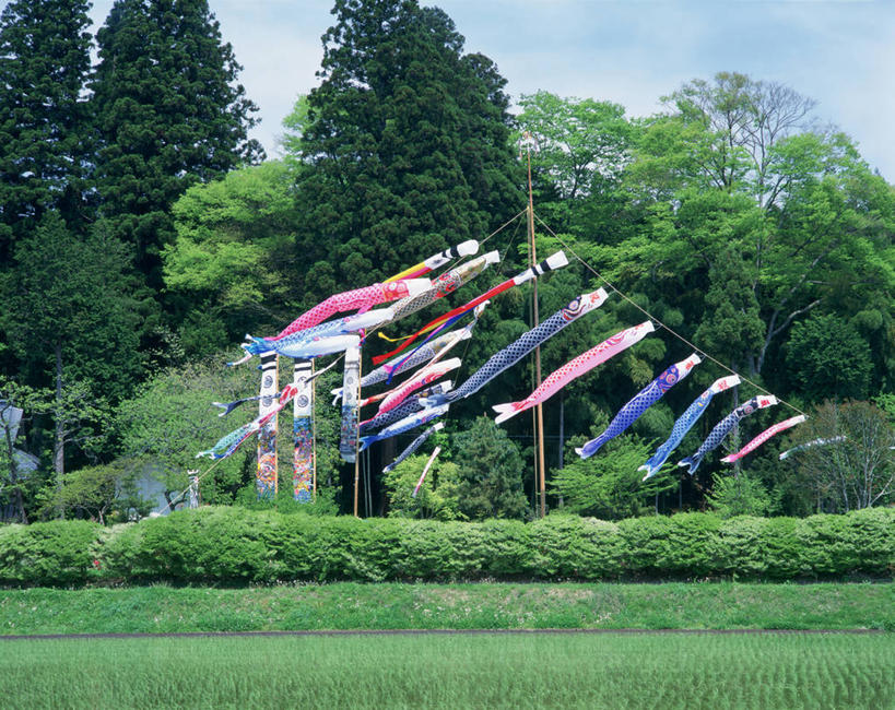 无人,横图,室外,白天,正面,旅游,度假,草地,草坪,美景,树林,植物,旗帜,日本,亚洲,许多,阴影,节日,庆祝,飘扬,光线,鲤鱼旗,影子,景观,很多,文化,娱乐,旗子,草,树,树木,蓝色,绿色,蓝天,天空,阳光,自然,天,祈福,庆典,享受,休闲,景色,放松,生长,晴朗,成长,纪念,飘逸,祈求,自然风光,飞扬,东亚,本州,万里无云,关东地方,本州岛,日本国,栃木,栃木县,旌旗,旗号,鲤鱼节,男孩节,日本男孩节,子供之日,鲤帜,晴空,晴空万里,彩图