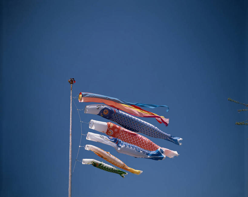 无人,横图,室外,白天,仰视,美景,旗帜,静冈县,日本,亚洲,阴影,节日,庆祝,飘扬,光线,鲤鱼旗,影子,景观,文化,旗子,蓝色,蓝天,天空,阳光,自然,天,祈福,庆典,景色,晴朗,纪念,飘逸,祈求,自然风光,飞扬,东亚,本州,万里无云,本州岛,日本国,中部地方,静冈,旌旗,旗号,鲤鱼节,男孩节,日本男孩节,子供之日,鲤帜,晴空,晴空万里,彩图,低角度拍摄