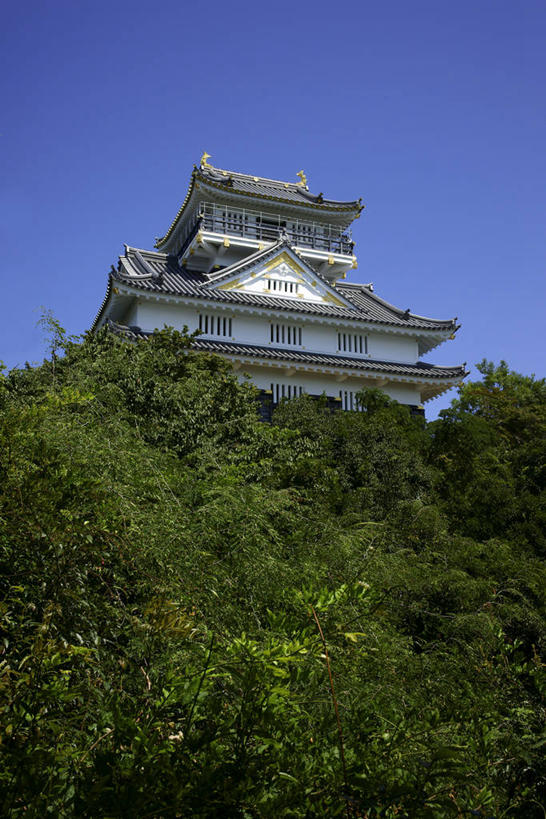 无人,竖图,室外,白天,仰视,旅游,度假,名胜古迹,山,山脉,树林,植物,标志建筑,地标,建筑,日本,亚洲,阴影,遗迹,光线,影子,堡垒,城堡,屋顶,山峰,山峦,顶棚,古迹,文物,娱乐,建设,古建筑,树,树木,蓝色,绿色,蓝天,天空,阳光,自然,群山,天,享受,休闲,旅游胜地,放松,生长,晴朗,成长,要塞,古文明,东亚,本州,万里无云,本州岛,日本国,中部地方,岐阜,岐阜县,设防,美浓,美浓国,晴空,晴空万里,彩图,低角度拍摄,岐阜城