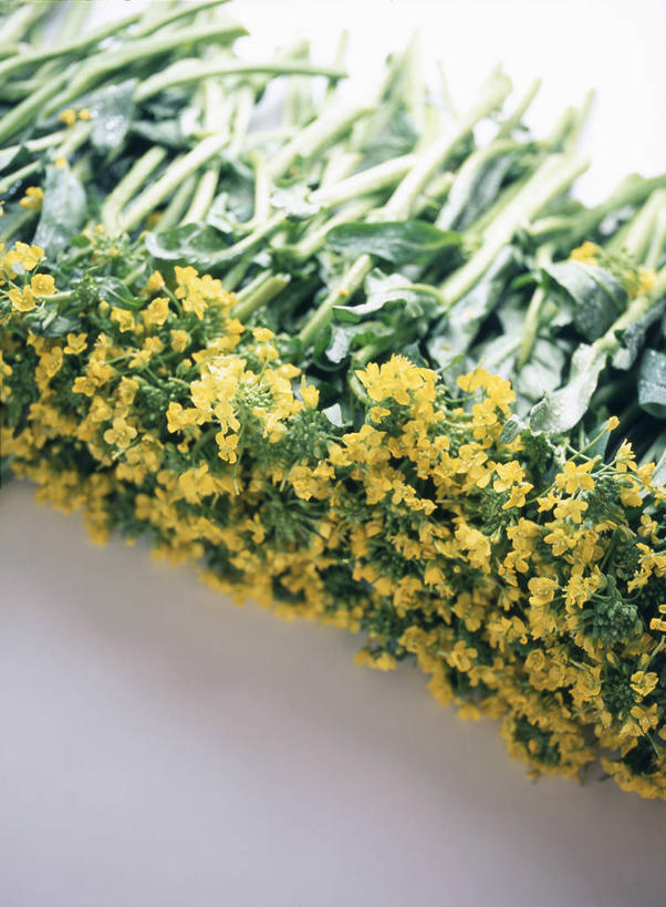 无人,竖图,俯视,室内,特写,白天,白色背景,蔬菜,阴影,新鲜,盛开,反射,影子,食品,花蕾,花,花瓣,花朵,鲜花,食物,黄色,花苞,花蕊,摄影,有机食品,绿色食品,影棚,野菜,地菜,地米菜,护生草,假水菜,菱角菜,荠菜,彩图,高角度拍摄,影棚拍摄,拍摄,花荠菜