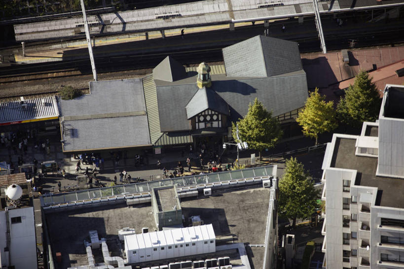 无人,家,横图,俯视,航拍,室外,白天,旅游,度假,美景,植物,城市风光,城市,建筑,车站,东京,日本,亚洲,阴影,光线,瓦片,影子,房屋,屋顶,屋子,景观,公寓,建筑群,站台,顶棚,瓦,娱乐,建设,洋房,楼房,月台,住宅,树,树木,绿色,阳光,自然,享受,休闲,景色,放松,建造,生长,成长,鸟瞰,东亚,屋瓦,本州,关东地方,本州岛,日本国,东京都,涩谷区,原宿,彩图,高角度拍摄,房子,原宿站