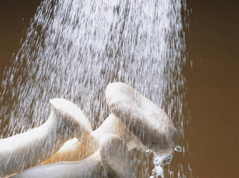 无人,横图,俯视,室内,特写,白天,水,蔬菜,飞溅,朦胧,模糊,新鲜,溅,液体,水滴,菌菇,食品,菌类,水珠,食物,三个,白色,食用菌,摄影,有机食品,绿色食品,影棚,真菌,喷洒,荡涤,洗濯,杏鲍菇,刺芹侧耳,清洗,彩图,高角度拍摄,影棚拍摄,拍摄