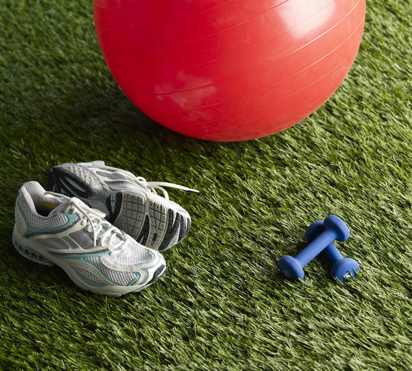 无人,横图,俯视,室内,特写,白天,运动鞋,草地,草坪,植物,哑铃,鞋子,一双,阴影,反射,影子,运动器械,草,两个,一个,红色,蓝色,绿色,健身器械,健身球,单个,休闲鞋,瑜伽球,健身器材,彩图,高角度拍摄,运动器材