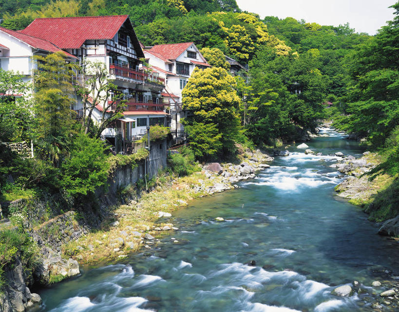 无人,家,横图,室外,白天,正面,旅游,度假,河流,美景,森林,树林,水,植物,静冈县,日本,亚洲,阴影,光线,影子,房屋,屋子,河水,景观,水流,公寓,娱乐,洋房,楼房,住宅,树,树木,绿色,天空,小溪,阳光,自然,天,溪水,享受,休闲,景色,放松,生长,成长,自然风光,东亚,本州,本州岛,日本国,中部地方,静冈,伊豆半岛,彩图,房子,伊豆市