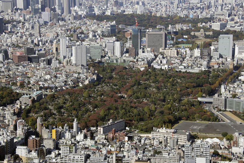 无人,家,高楼大厦,横图,俯视,航拍,室外,白天,度假,美景,树林,植物,城市风光,城市,大厦,建筑,摩天大楼,东京,日本,亚洲,阴影,光线,影子,房屋,屋子,景观,公寓,建筑群,青山,娱乐,建设,洋房,楼房,住宅,树,树木,绿色,阳光,自然,享受,休闲,景色,放松,生长,成长,鸟瞰,东亚,本州,关东地方,本州岛,日本国,东京都,县厅,港区,东京市,彩图,高角度拍摄,房子,大楼,高层建筑,高楼,摩天楼
