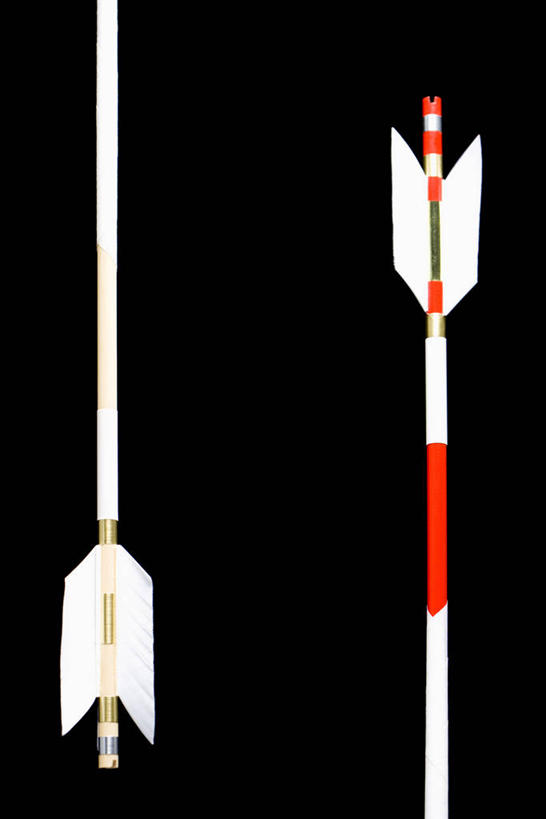 无人,竖图,俯视,室内,特写,白天,静物,阴影,黑色背景,反射,影子,两个,红色,白色,箭,摄影,影棚,彩图,高角度拍摄,影棚拍摄,拍摄,箭羽