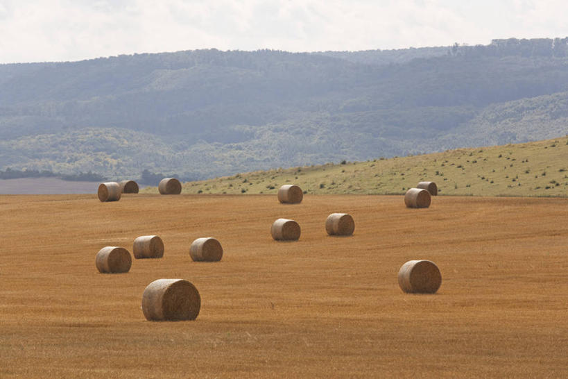 无人,横图,室外,白天,正面,旅游,度假,草地,草坪,美景,山,山脉,植物,德国,欧洲,阴影,光线,影子,景观,山峰,干草,山峦,娱乐,草,树,树木,绿色,天空,阳光,自然,草垛,群山,天,享受,休闲,景色,放松,生长,成长,西欧,自然风光,德意志联邦共和国,干草垛,萨克森.安哈尔特,萨克森.安哈尔特州,彩图