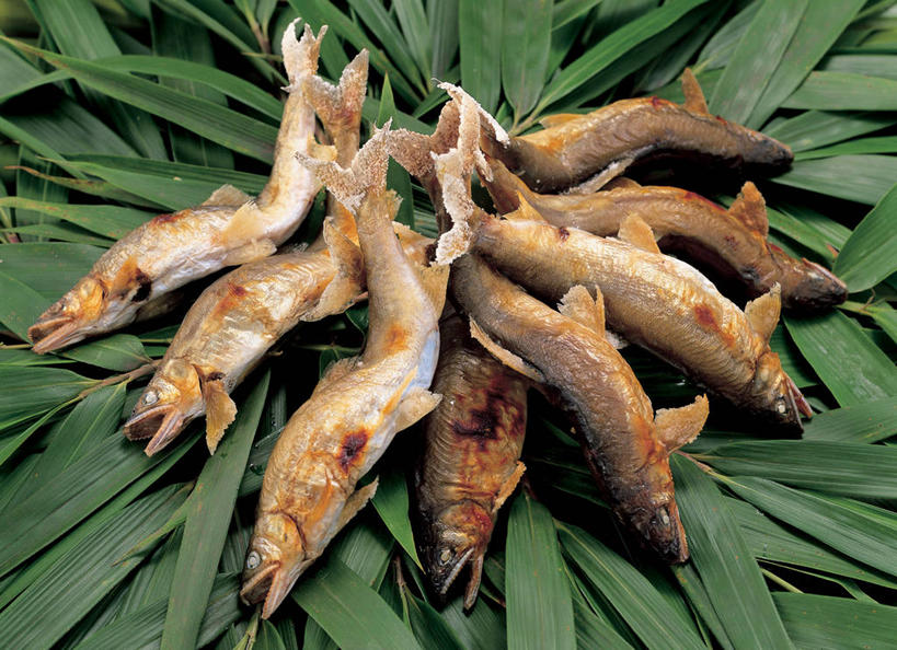 无人,横图,俯视,室内,特写,白天,烹饪,叶子,阴影,反射,影子,烤鱼,肉,鱼肉,日本料理,料理,食品,绿叶,菜肴,美食,肉类,食物,日式料理,日式,嫩叶,摄影,佳肴,影棚,肉食,叶,叶片,彩图,高角度拍摄,影棚拍摄,拍摄