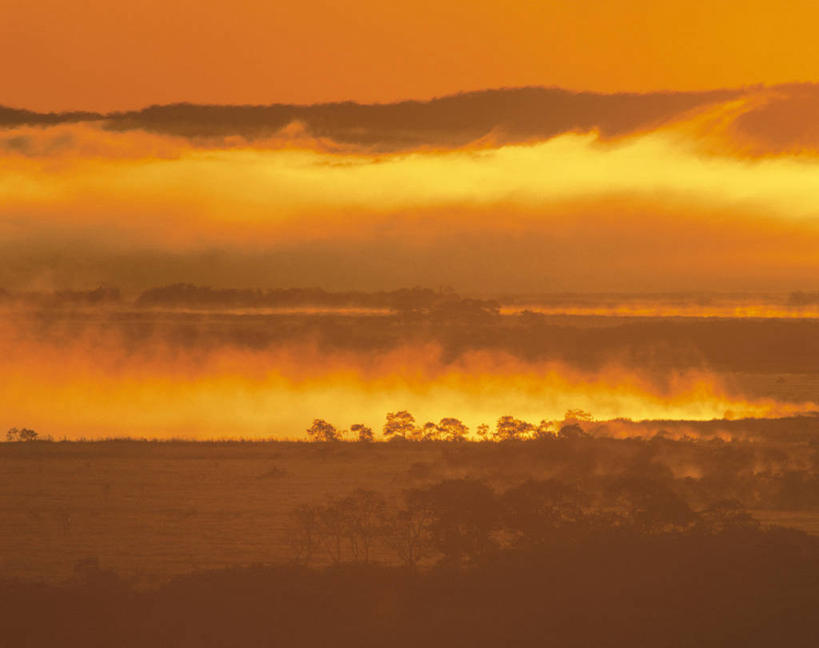 无人,横图,室外,白天,正面,旅游,度假,日出,美景,太阳,植物,雾,北海道,日本,亚洲,朦胧,模糊,景观,朝霞,晨曦,黎明,背光,娱乐,树,树木,绿色,阳光,自然,享受,休闲,景色,放松,生长,成长,迷雾,自然风光,逆光,东亚,日本国,北海道地方,北海道岛,钏路湿原,朝阳,大雾,彩图,卯时,破晓,日始,振兴局,钏路郡,钏路町,钏路综合振兴局,道东